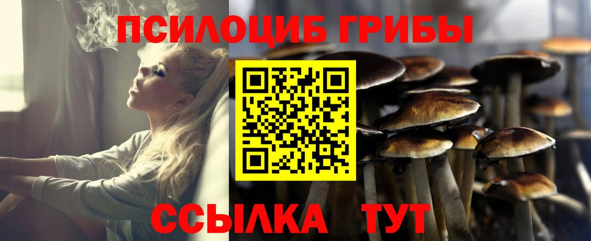 Псилоцибиновые грибы Cubensis Алейск