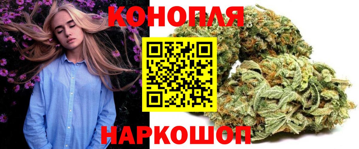 Каннабис план  Конопля гибрид  Вход с VPN  Алейск  МАРИХУАНА сатива 